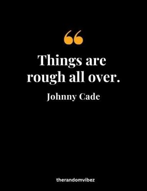Quotes From Johnny Cade In The Outsiders