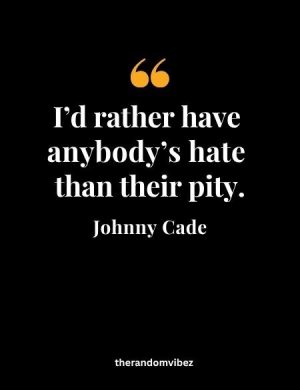 The Outsiders Johnny Cade Quotes